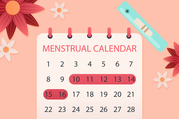 Siklus Menstruasi